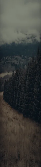 Free aesthetic bookmark featuring a grayed out environment